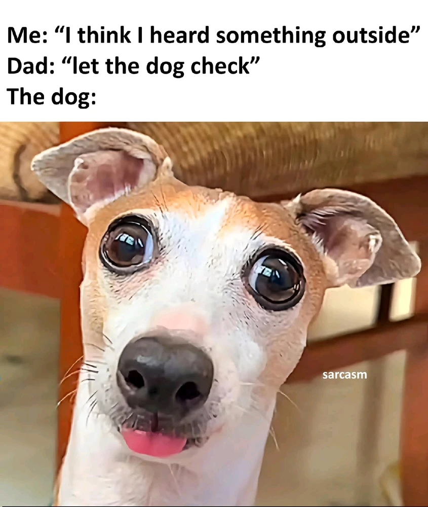 GIF uploaded by Chrif