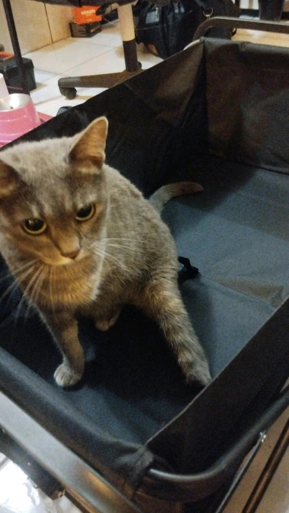 Imagem enviada por Lucas