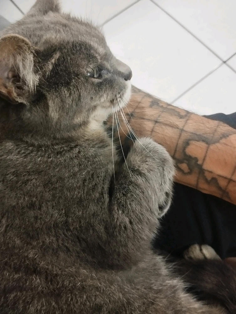 Imagem enviada por Lucas