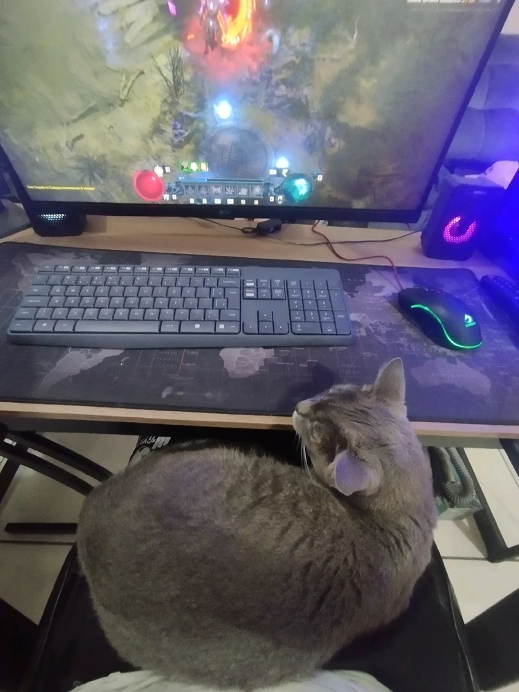 Imagem enviada por Lucas