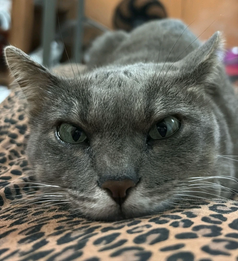 Imagem enviada por Lucas