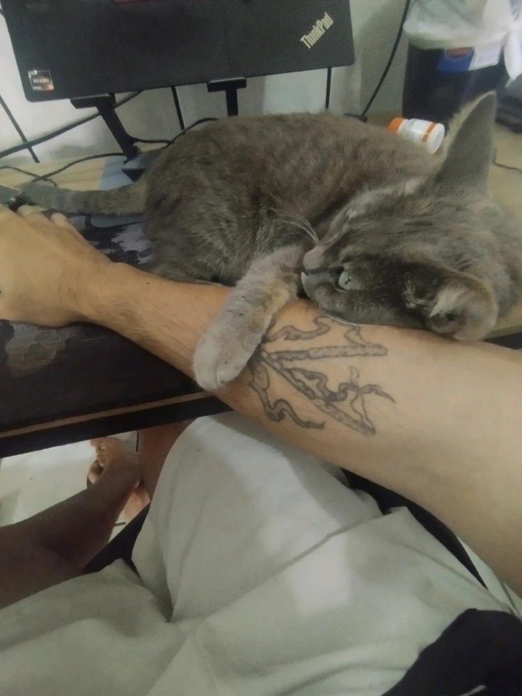 Imagem enviada por Lucas