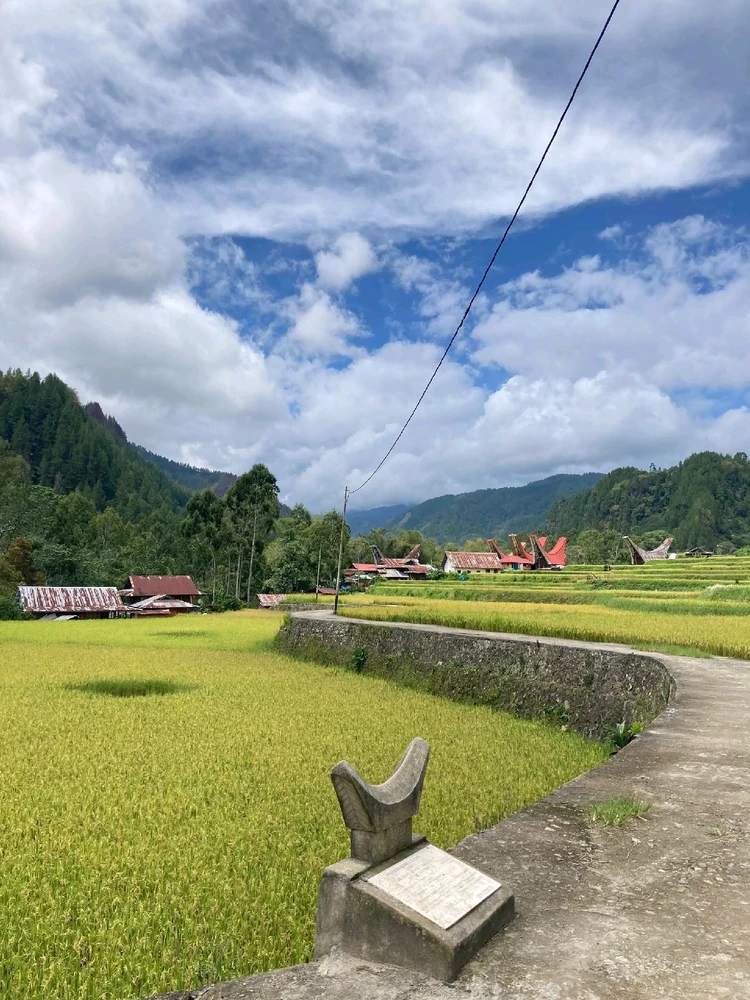 Gambar diunggah oleh mil