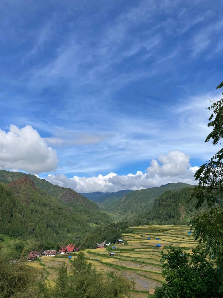 Gambar diunggah oleh mil