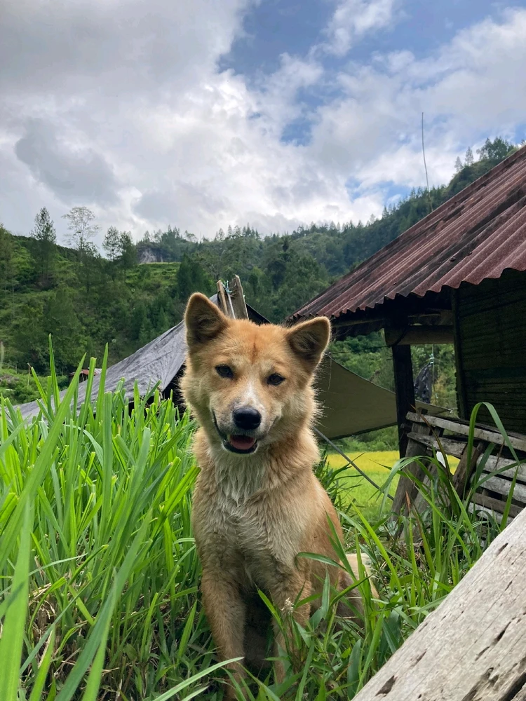 Gambar diunggah oleh mil