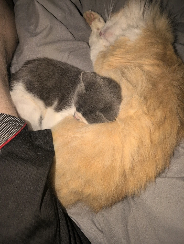 GIF uploaded by Craig