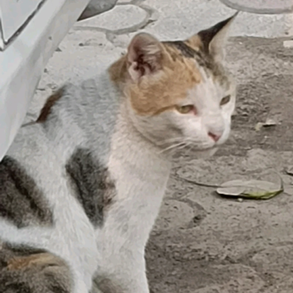 GIF uploaded by Aditya