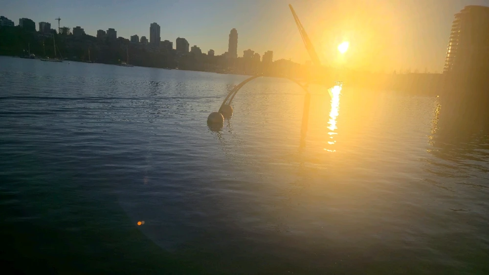 Image uploaded by Illia