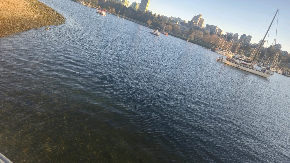 Image uploaded by Illia