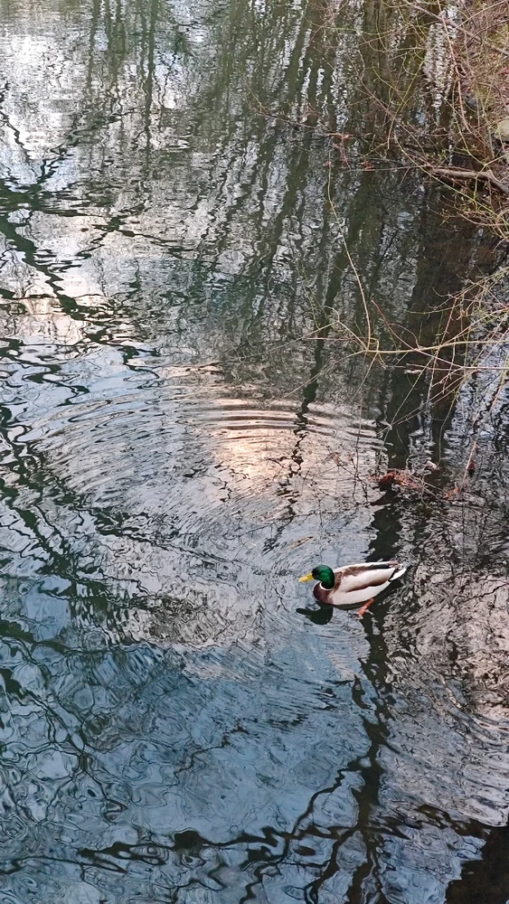 Bild hochgeladen von Jacky