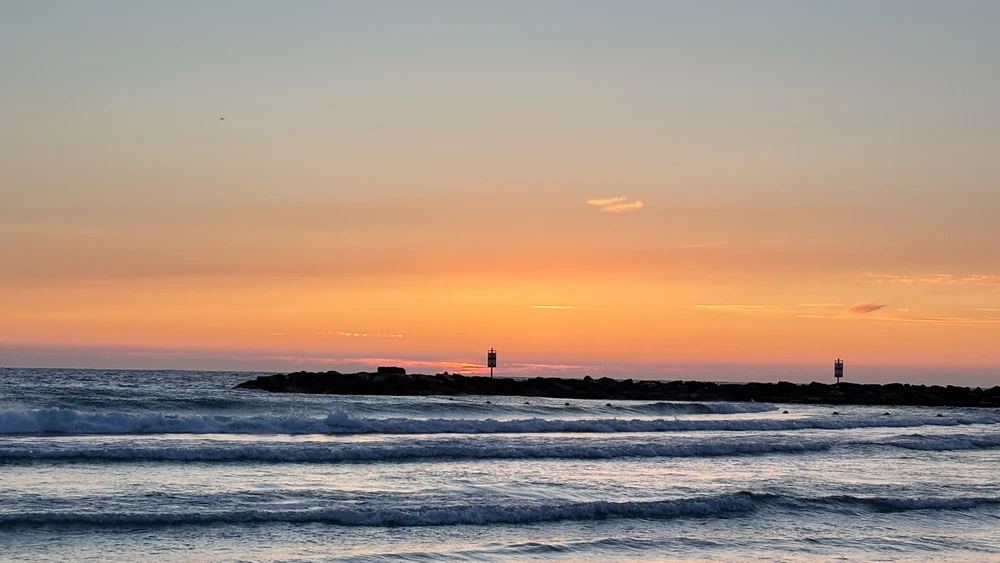 Image uploaded by MK