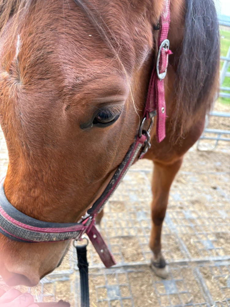 GIF uploaded by Sandi