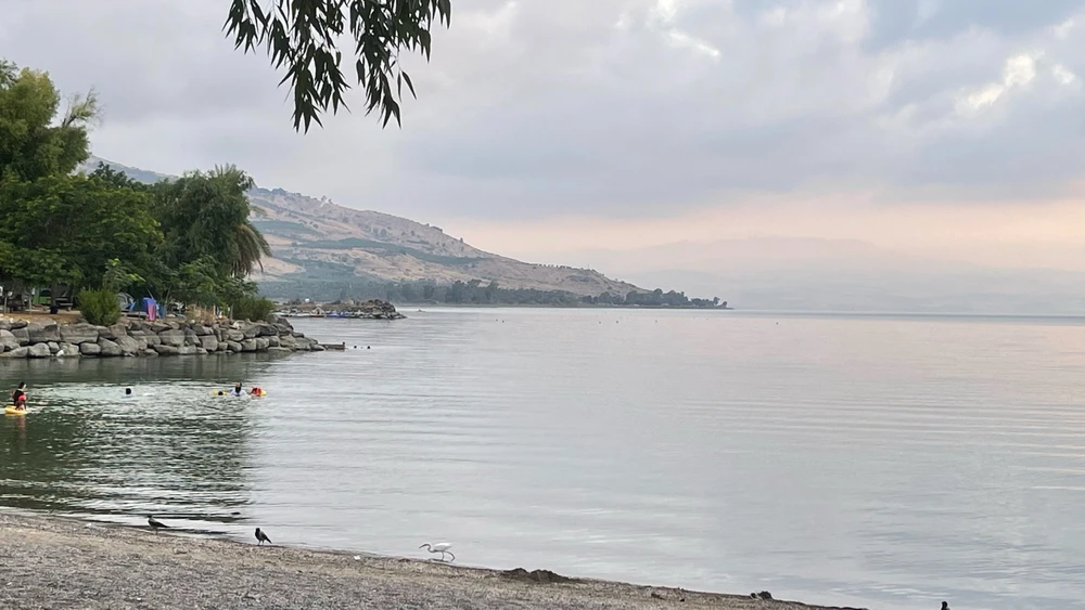 Image uploaded by MK