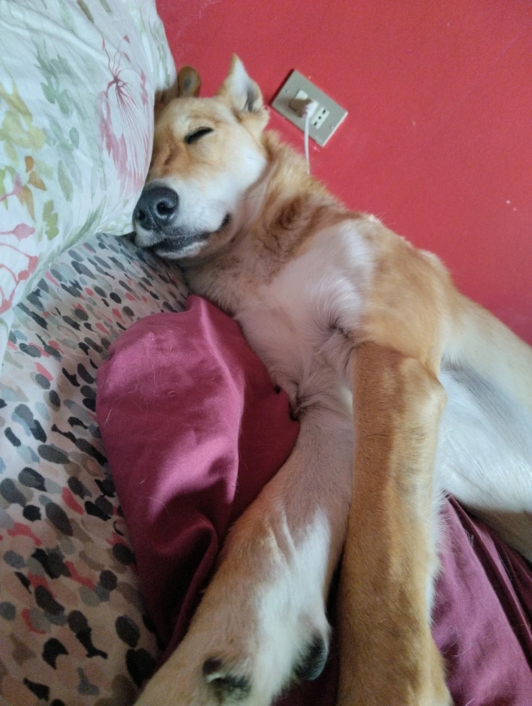 Immagine caricata da Noemi