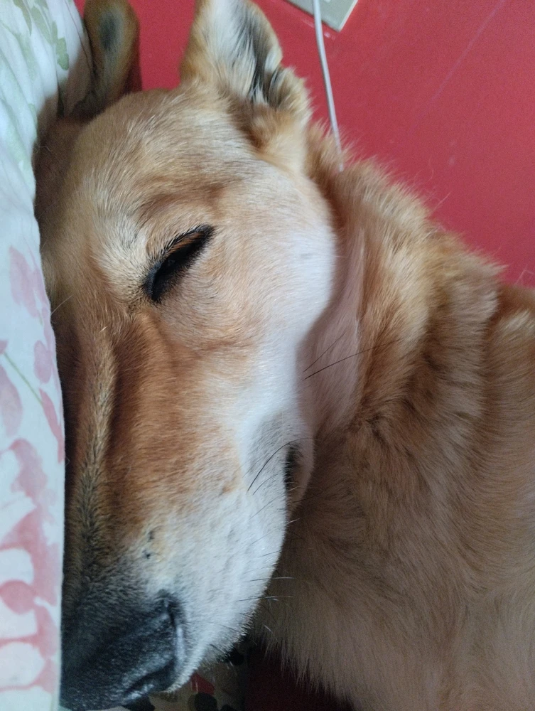 Immagine caricata da Noemi