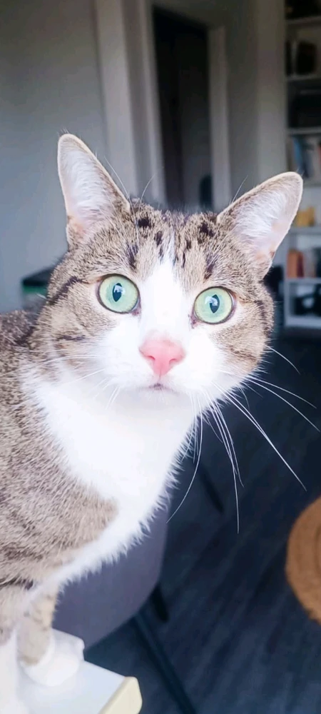 GIF hochgeladen von Alessandro