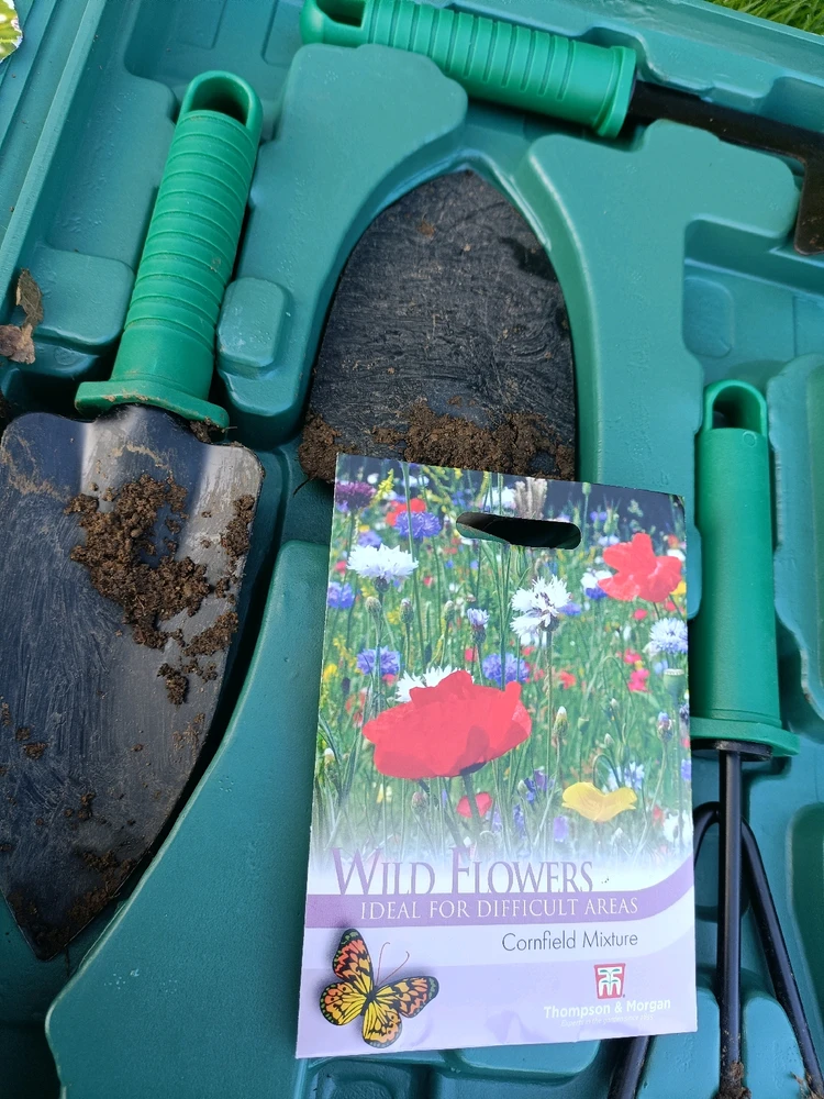 GIF uploaded by Adam