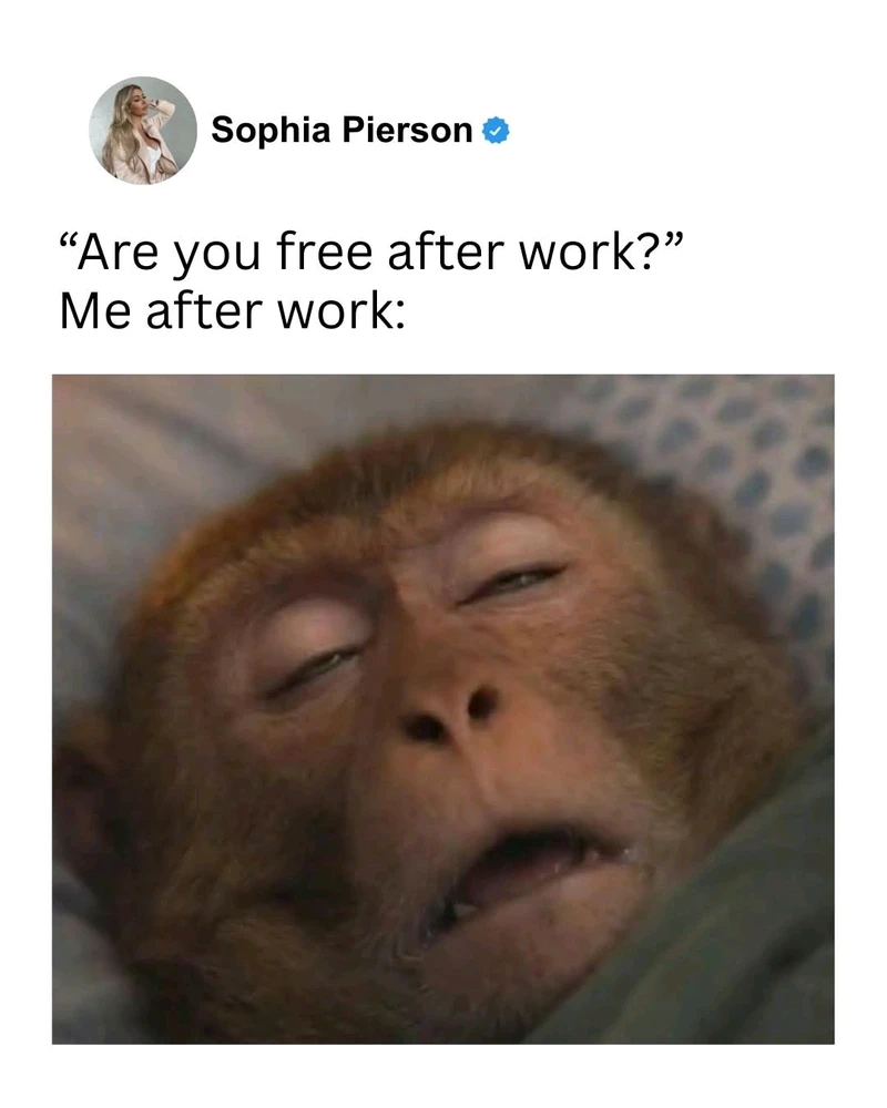 GIF uploaded by Erica