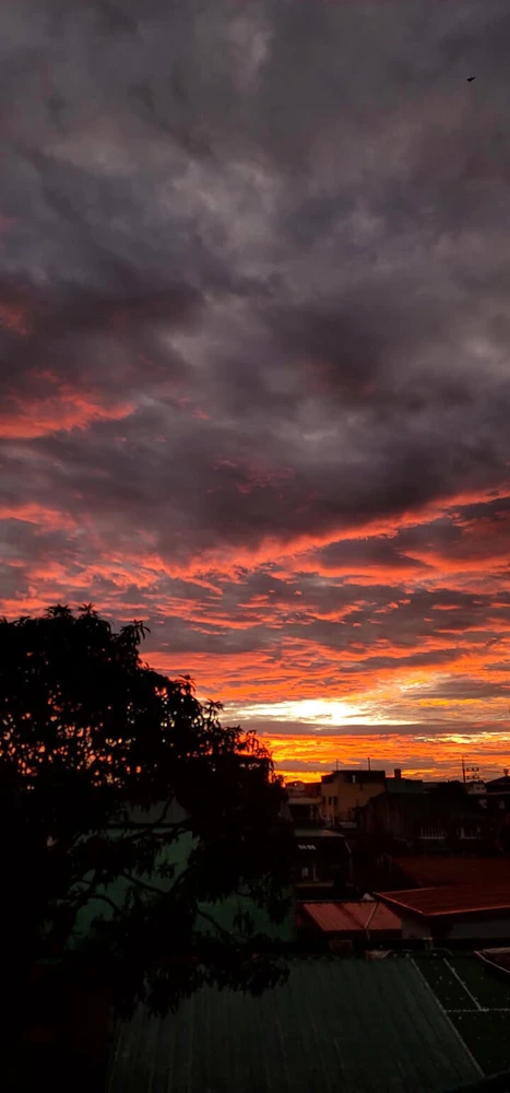 Image uploaded by d⭐