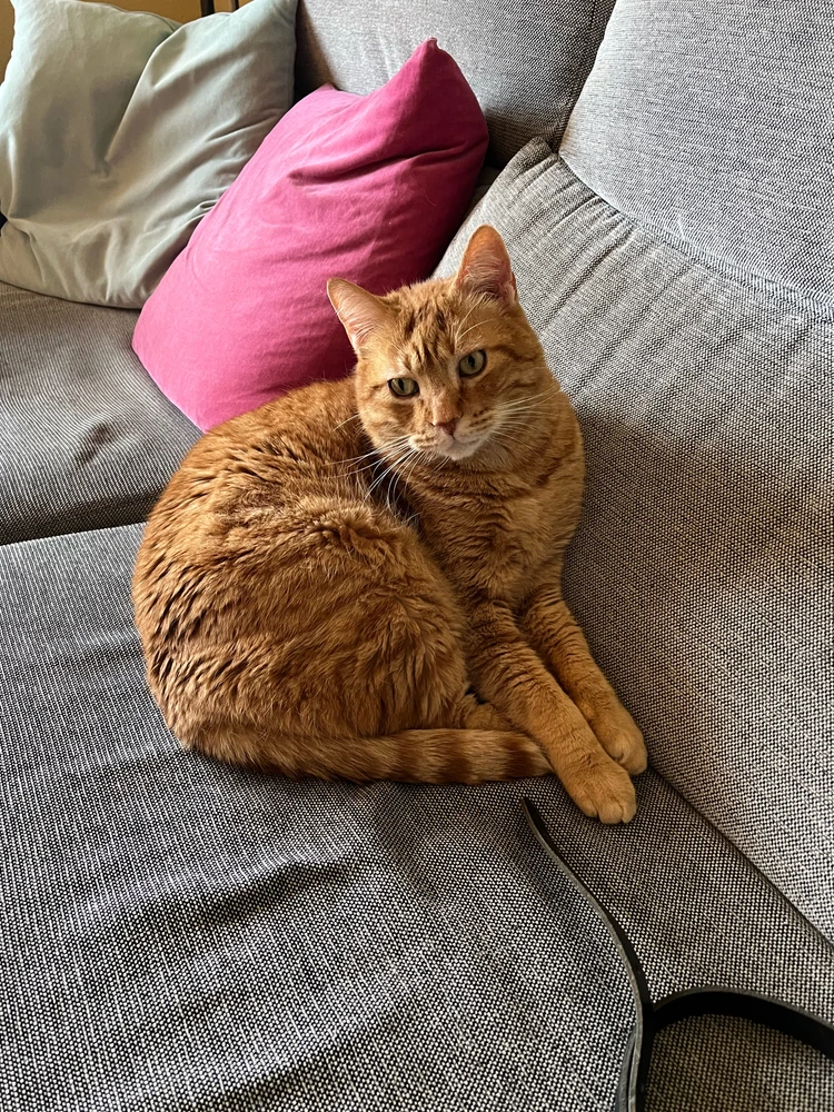 GIF uploaded by Alexander