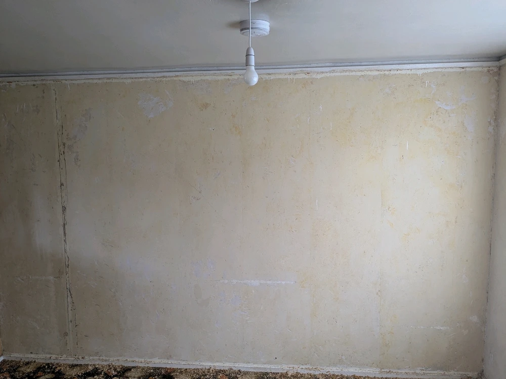 GIF uploaded by Connor