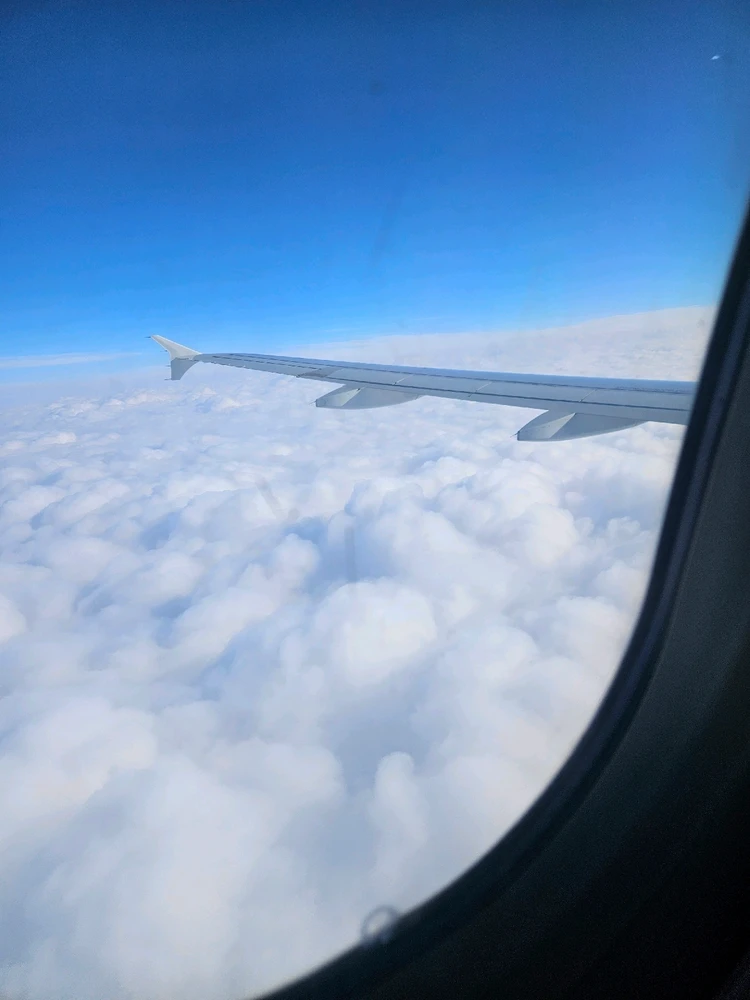 GIF загрузил Хожиакбар