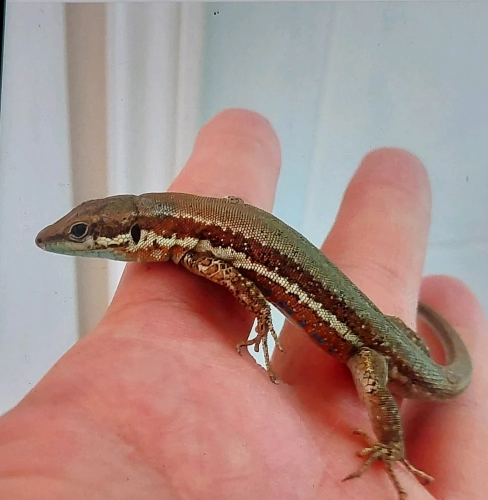 Image uploaded by Marios