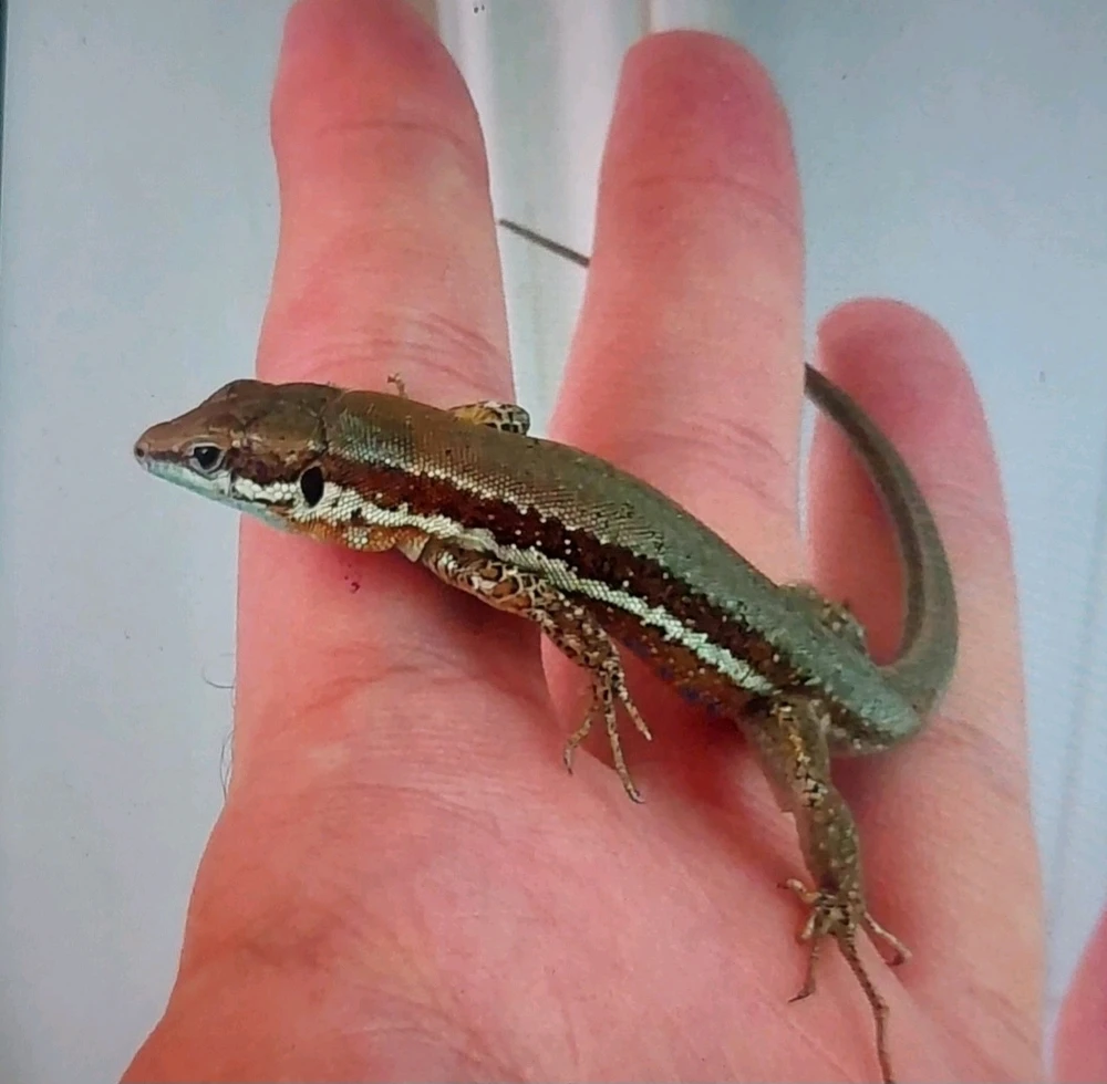 Image uploaded by Marios