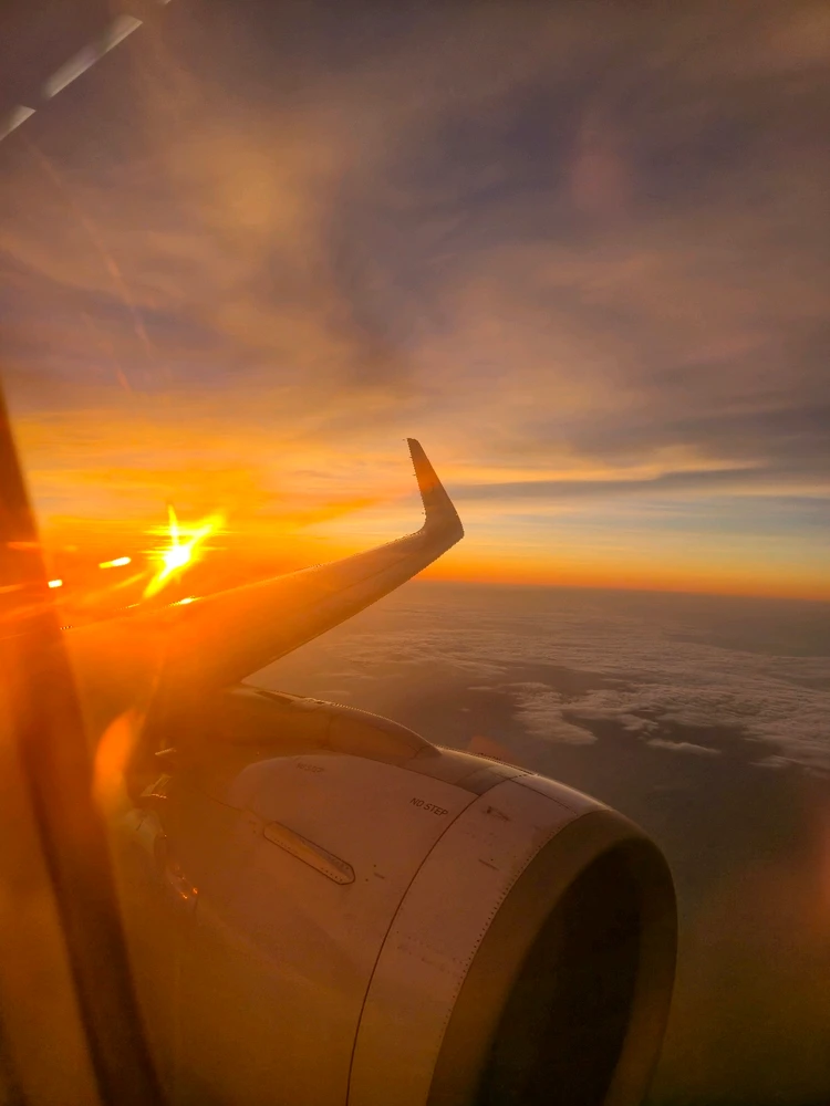 Image uploaded by Sherbie