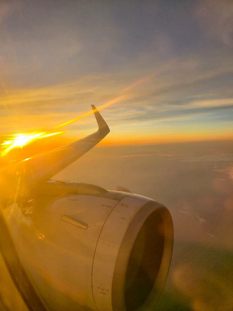 Image uploaded by Sherbie