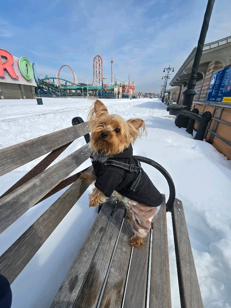 Image uploaded by 《🌹.::Lenöré::.🌹》