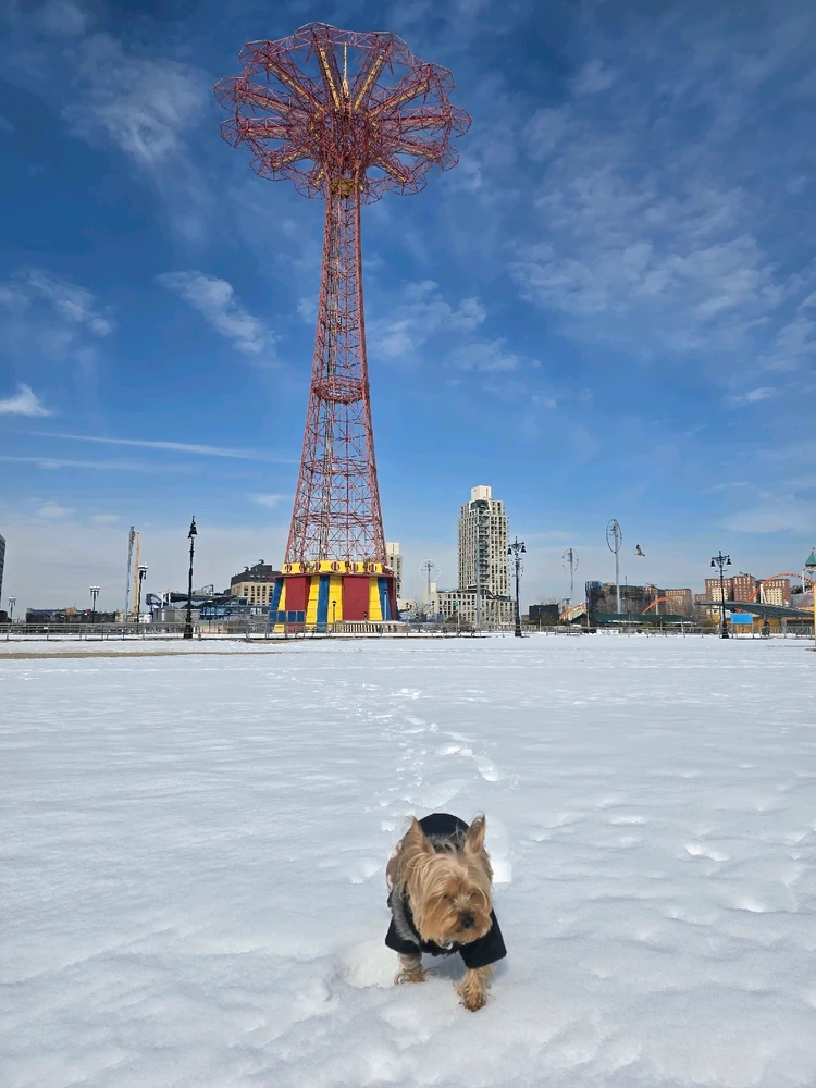 Image uploaded by 《🌹.::Lenöré::.🌹》