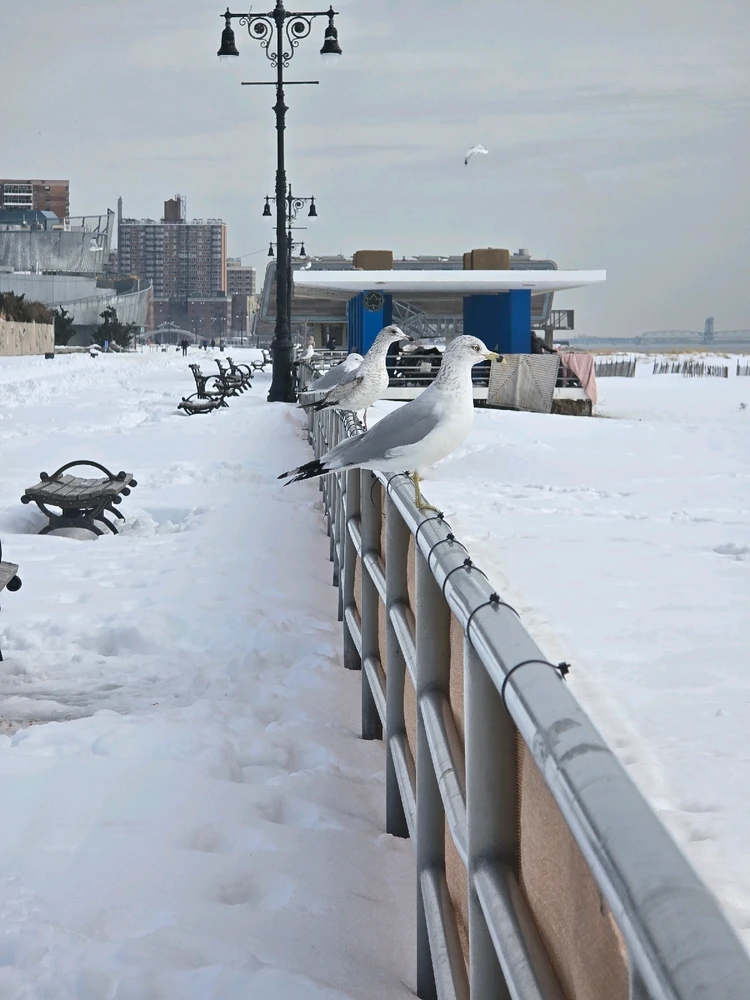 Image uploaded by 《🌹.::Lenöré::.🌹》