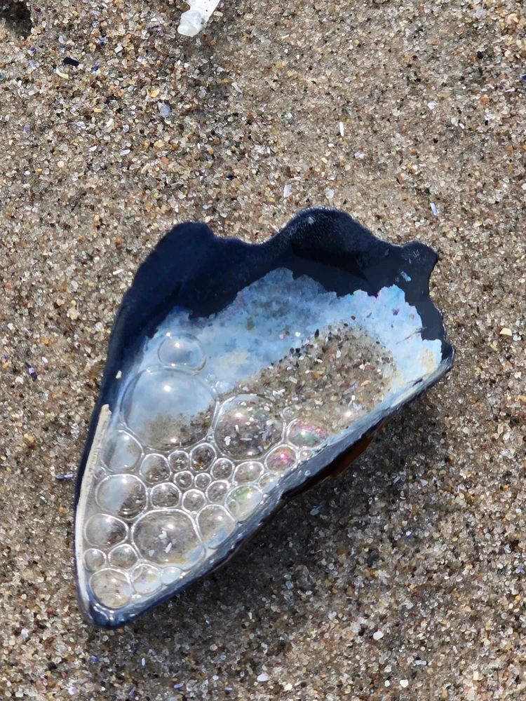 Image uploaded by 《🌹.::Lenöré::.🌹》