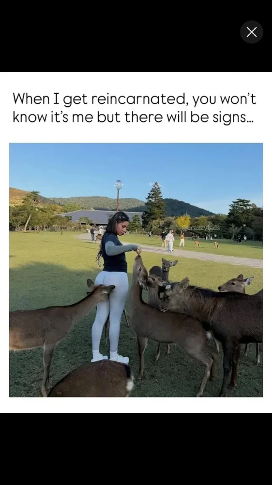 GIF enviado por Lucas