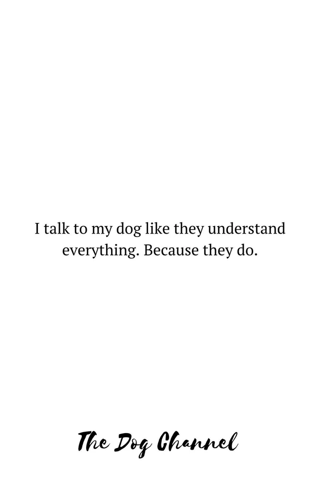 GIF uploaded by Allison