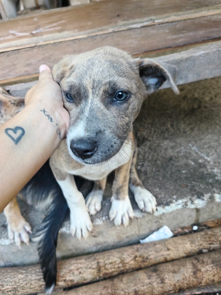 GIF uploaded by Grace