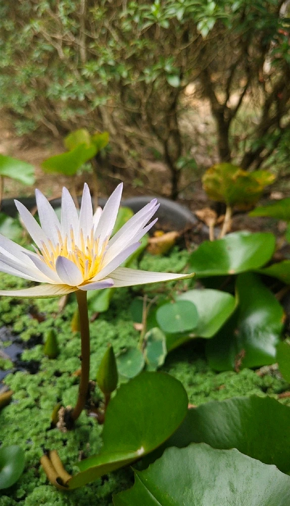 GIF uploaded by ajay kumar