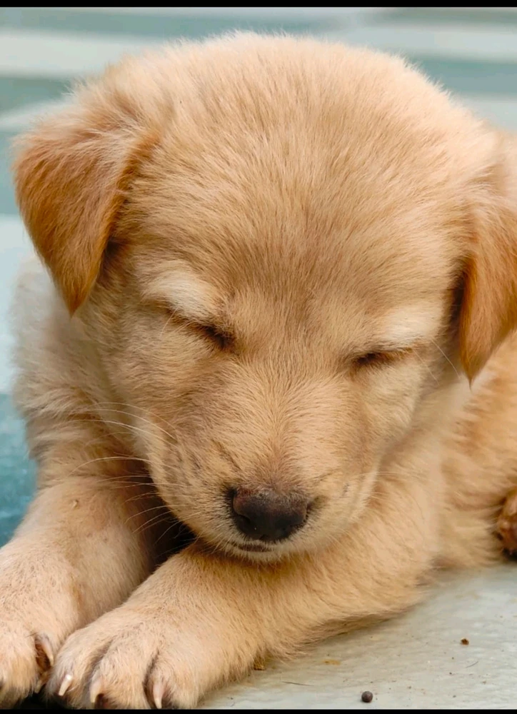 GIF uploaded by Tusar