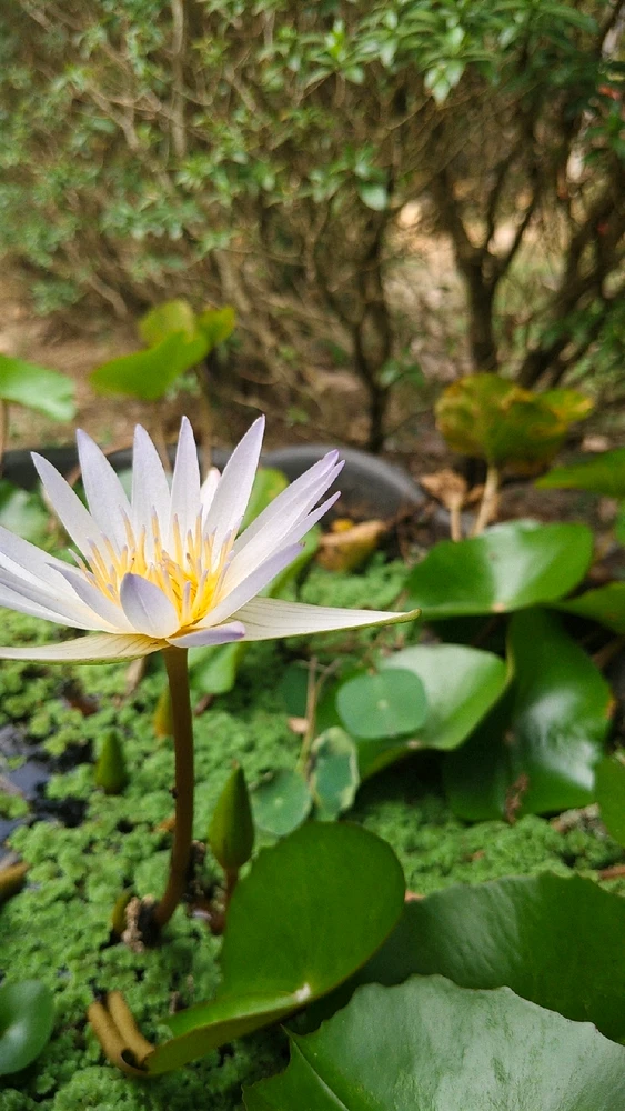 GIF uploaded by ajay kumar