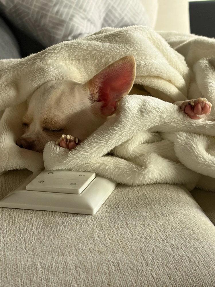 GIF caricata da Mattia