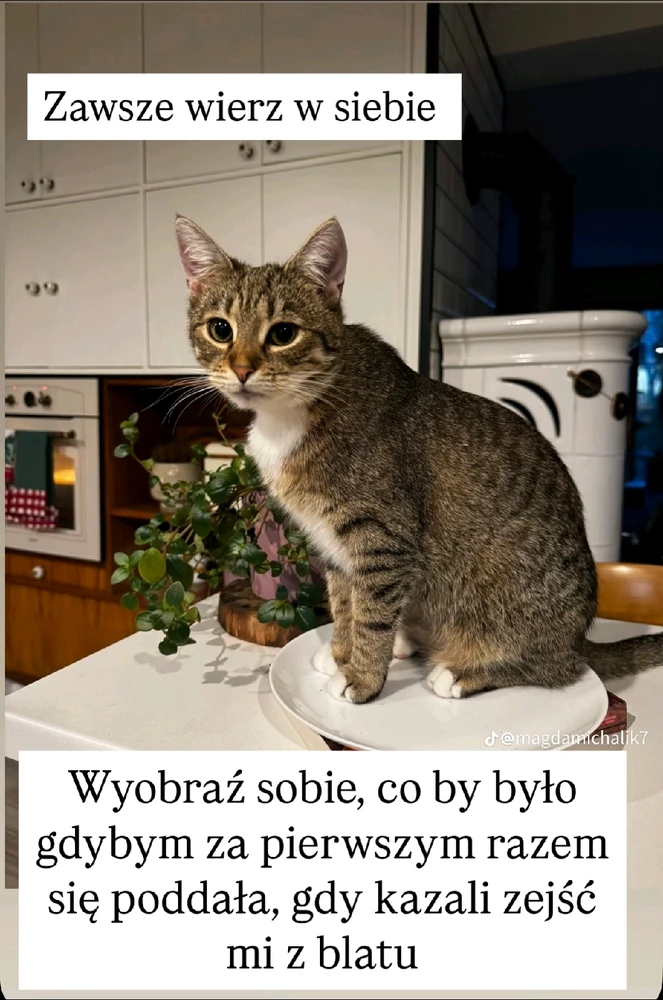 Zdjęcie dodane przez Ewelina