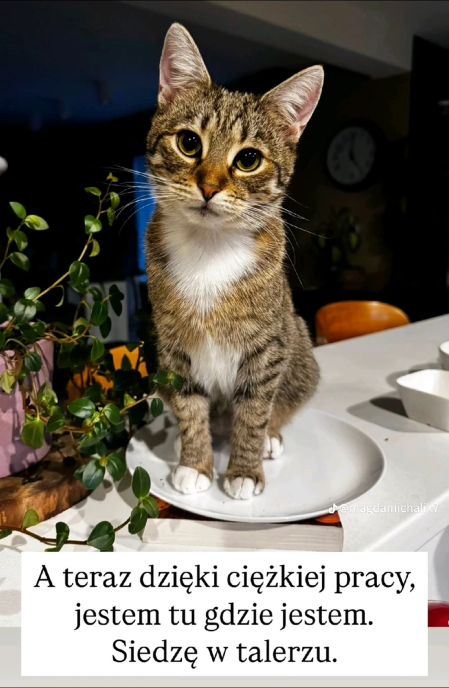 Zdjęcie dodane przez Ewelina