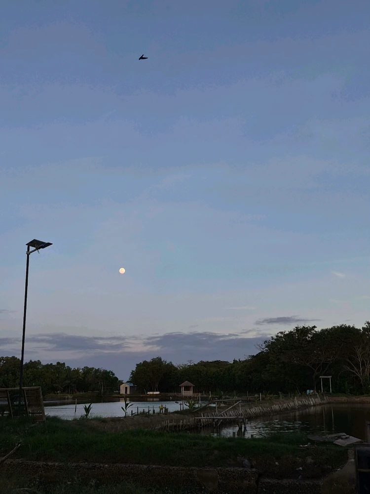 Image uploaded by melgie