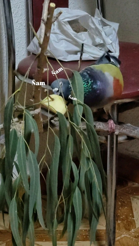 Imagen subida por Michi