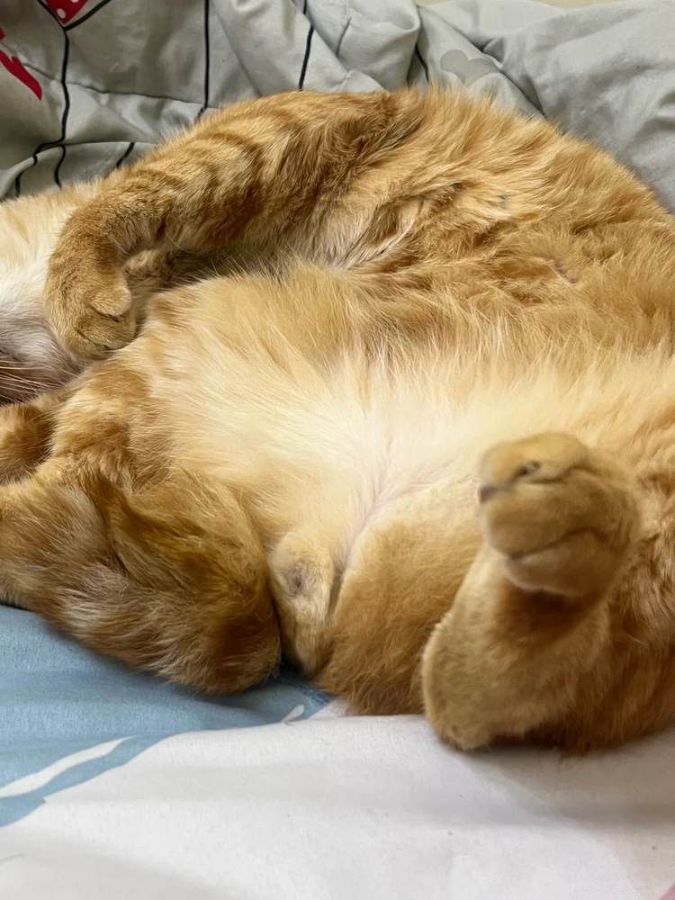 GIF uploaded by Syazwan