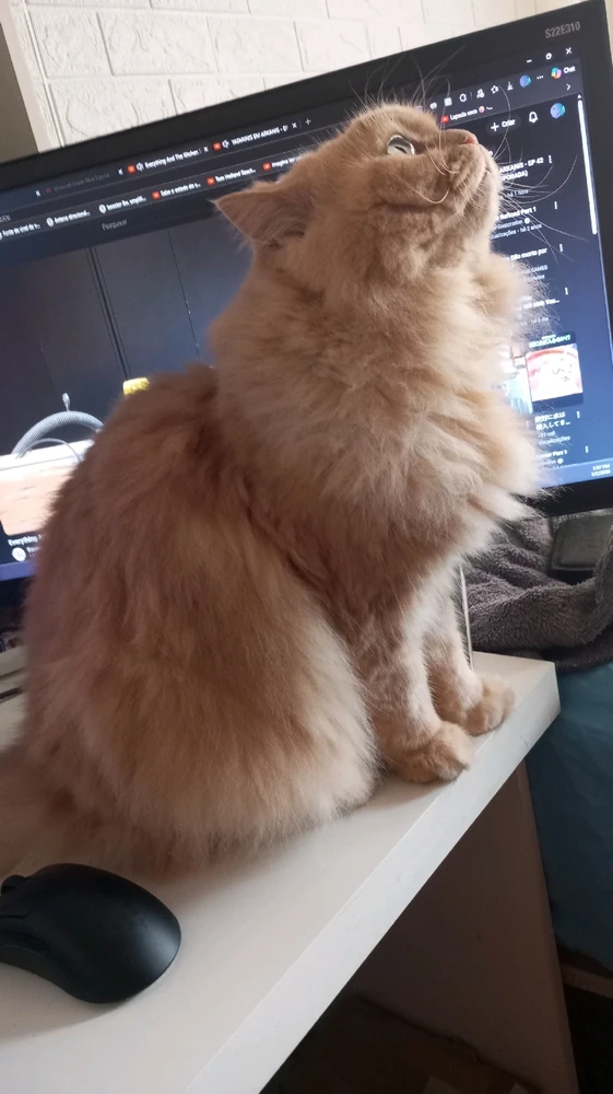 Imagem enviada por Marcos