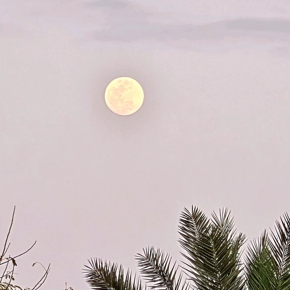 Image uploaded by Gheng