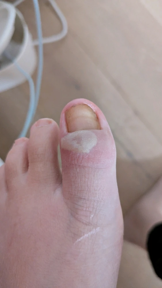 Image uploaded by Sarah