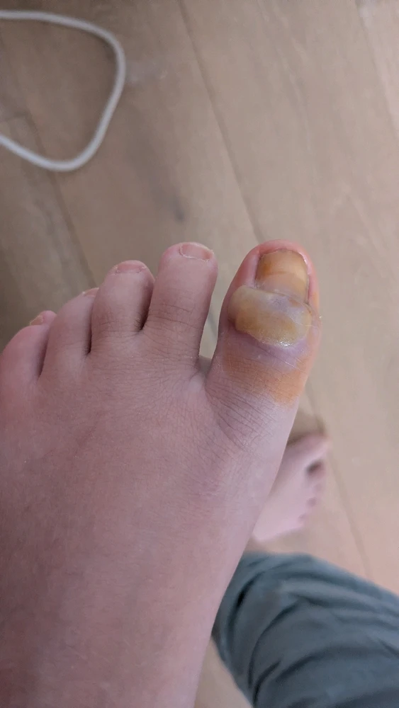 Image uploaded by Sarah